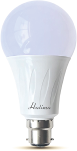 LED Sashroee Series